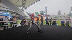 <b>“AI智能讲解”既能精准解读和术意球员跑位</b>