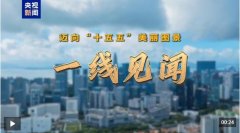 通过数字化的阐释和